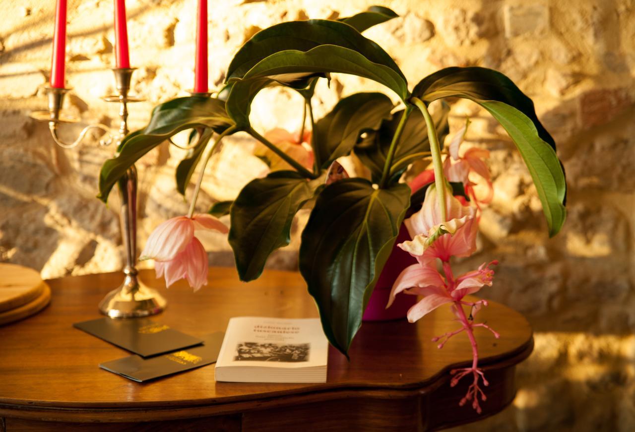 Cordella In Montalcino Wine Resort Eksteriør bilde