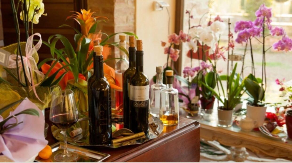 Cordella In Montalcino Wine Resort Eksteriør bilde
