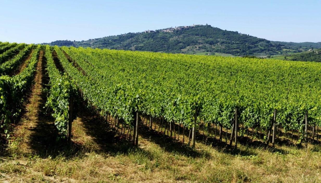 Cordella In Montalcino Wine Resort Eksteriør bilde